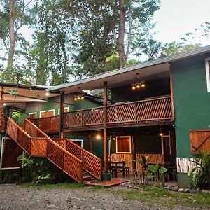 Hotel Boutique The Green Jungle House